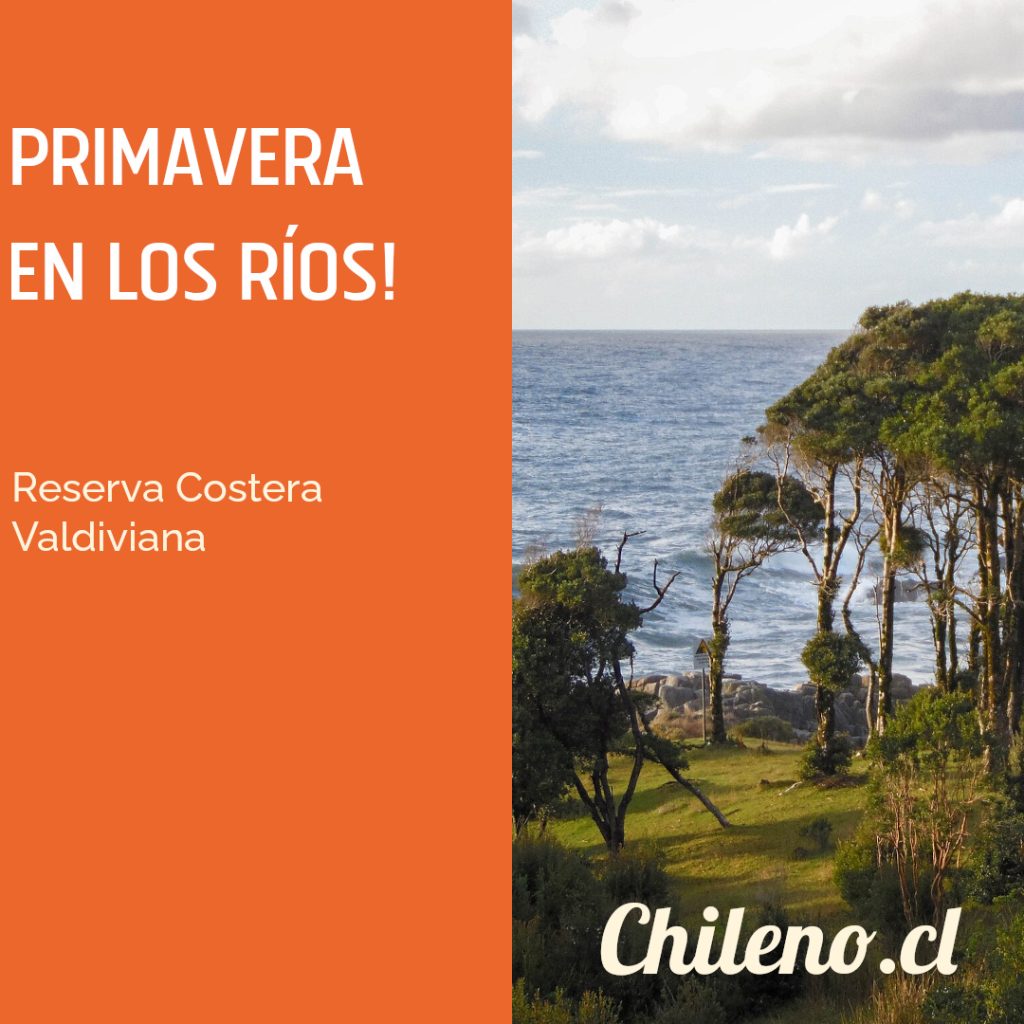 3-1024x1024 🌸 ¡Primavera en Los Ríos! Descubre sus paisajes y vive nuevas experiencias