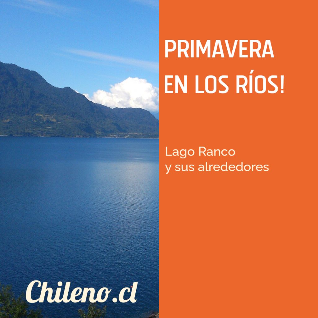 4-1024x1024 🌸 ¡Primavera en Los Ríos! Descubre sus paisajes y vive nuevas experiencias