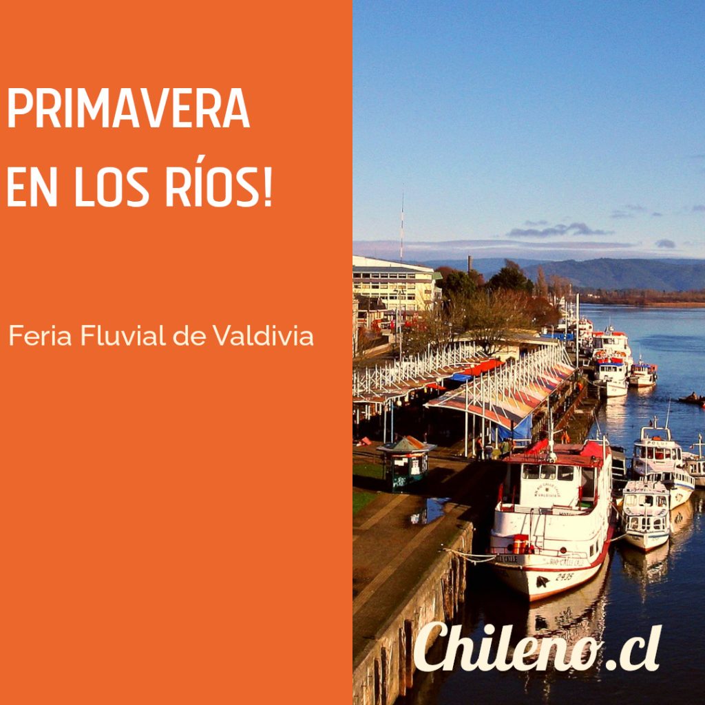 5-1024x1024 🌸 ¡Primavera en Los Ríos! Descubre sus paisajes y vive nuevas experiencias