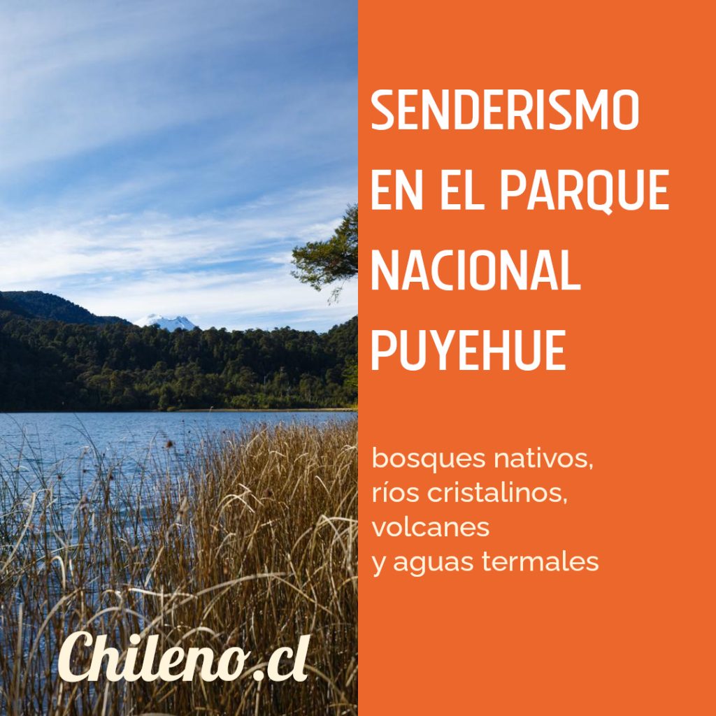 lagos-volcanes-puyehue-1024x1024 🌲 Senderismo en el Parque Nacional Puyehue en Octubre: Guía Completa con Rutas, Tips y Secretos Locales