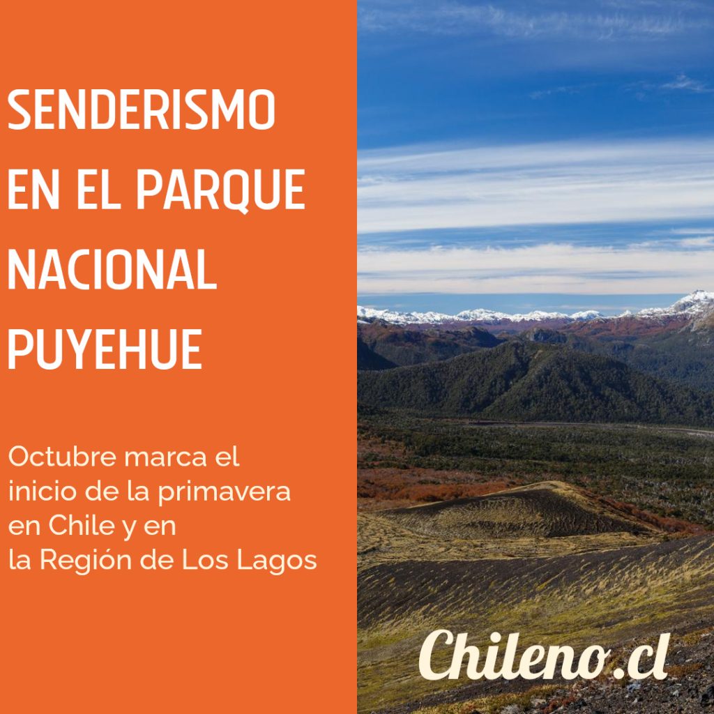 parque-nacional-puyehue-1024x1024 🌲 Senderismo en el Parque Nacional Puyehue en Octubre: Guía Completa con Rutas, Tips y Secretos Locales