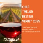 Copa de vino tinto reposando sobre una mesa, con hileras de cepas en un viñedo al fondo.