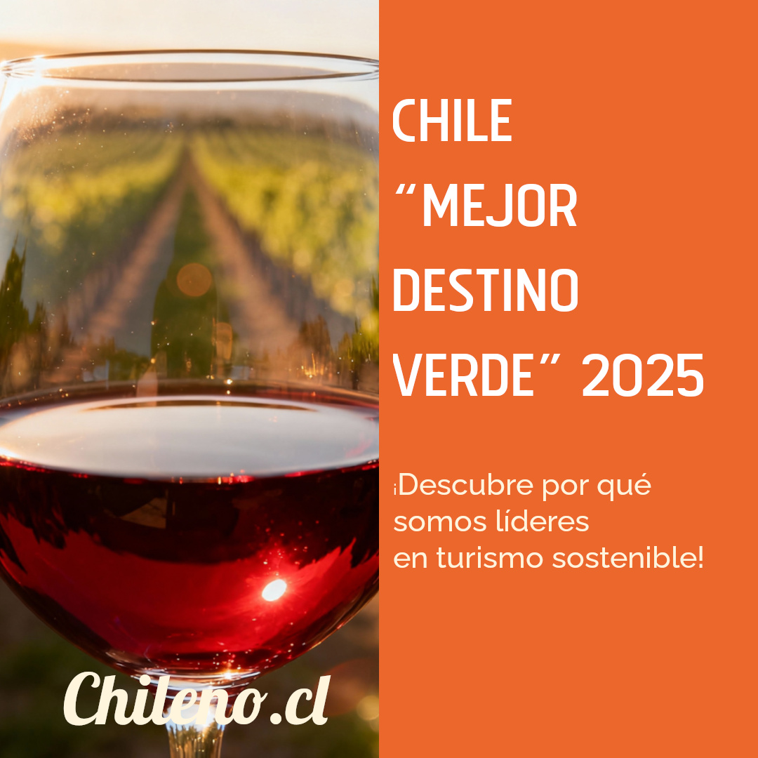 Copa de vino tinto reposando sobre una mesa, con hileras de cepas en un viñedo al fondo.